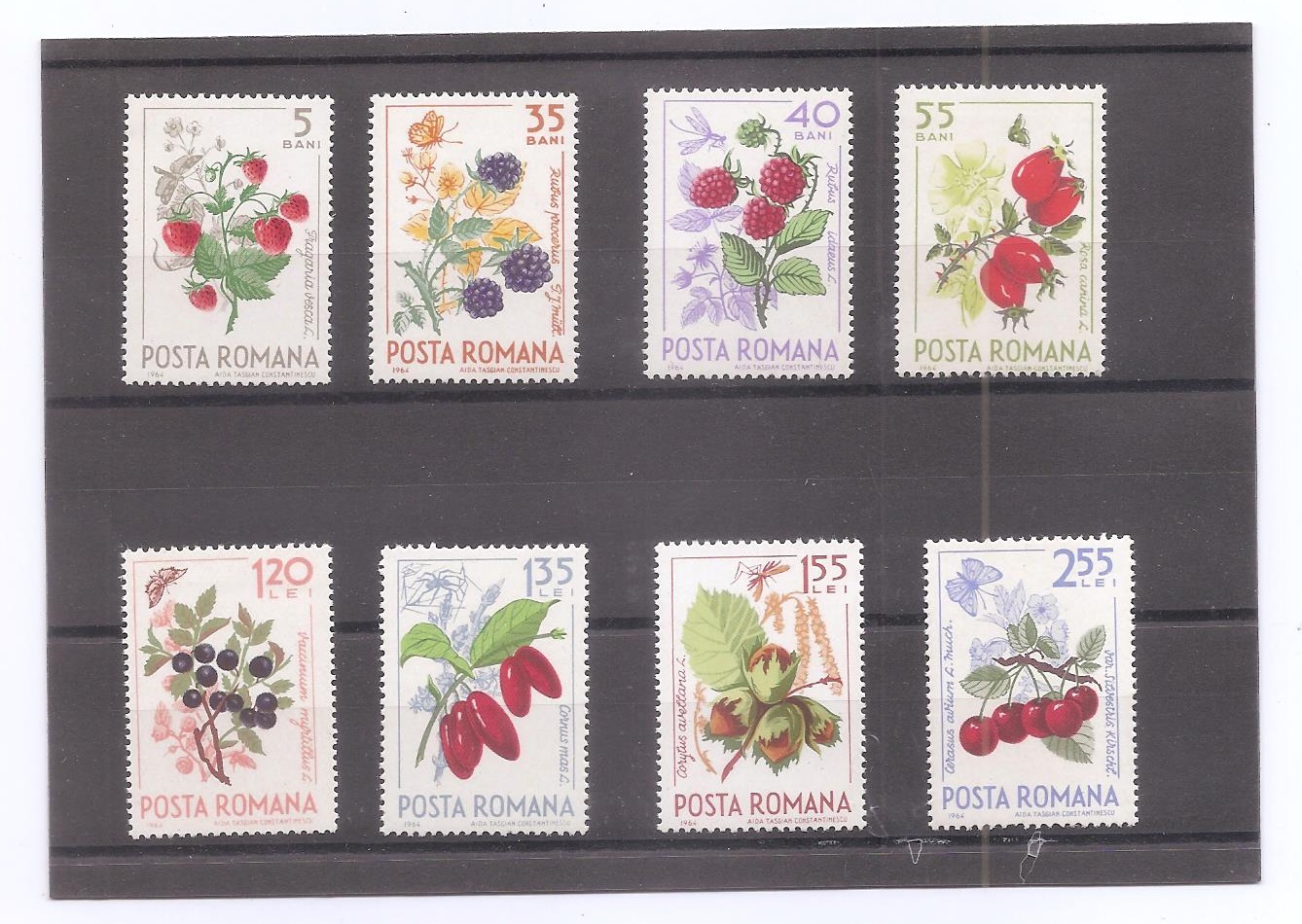 RUMANIA DEL AÑO 1964 FLORES